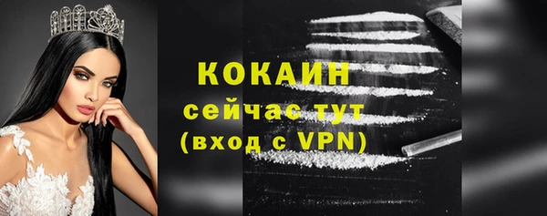 не бодяженный Пересвет