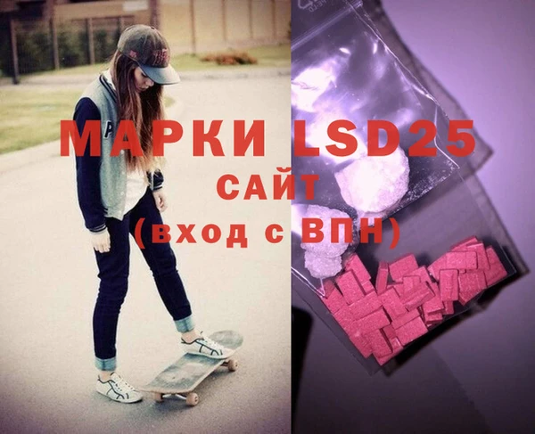 ПСИЛОЦИБИНОВЫЕ ГРИБЫ Осинники