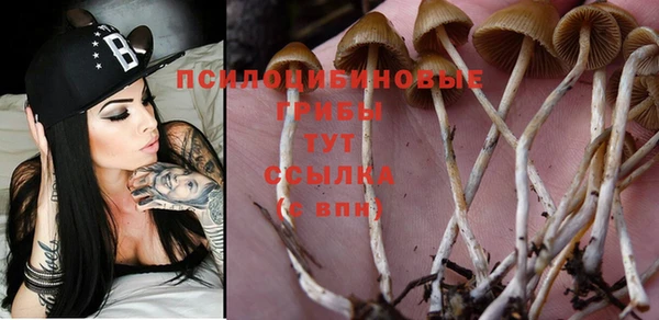 соль курить ск Переславль-Залесский