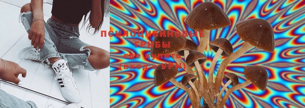 тгк Губаха