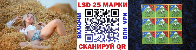 Наркотические марки 1500мкг  Купить где  Зубцов 