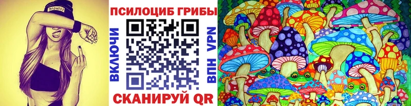 Галлюциногенные грибы GOLDEN TEACHER  Купить закладки  Зубцов 